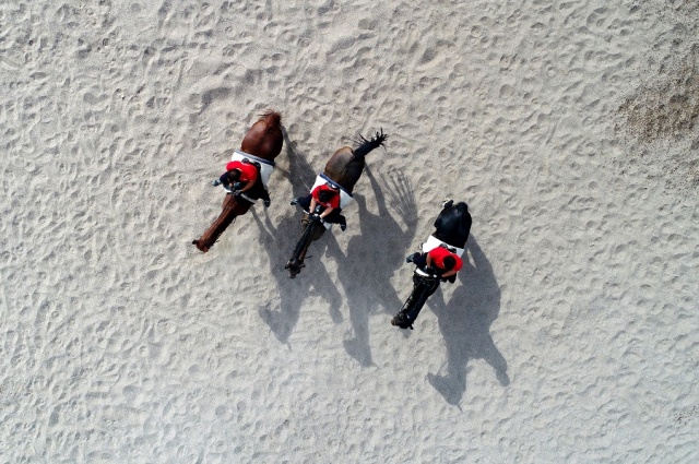 Atlı Polisler Göreve Hazırlanıyor