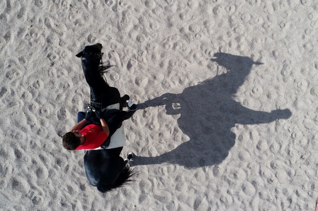 Atlı Polisler Göreve Hazırlanıyor