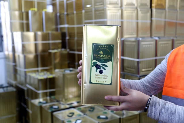 Zeytinin Yağa Dönüşüm Yolculuğu Başladı