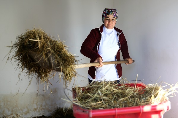Atlara Belik Ören Kadın Seyis