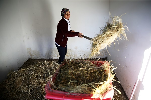 Atlara Belik Ören Kadın Seyis