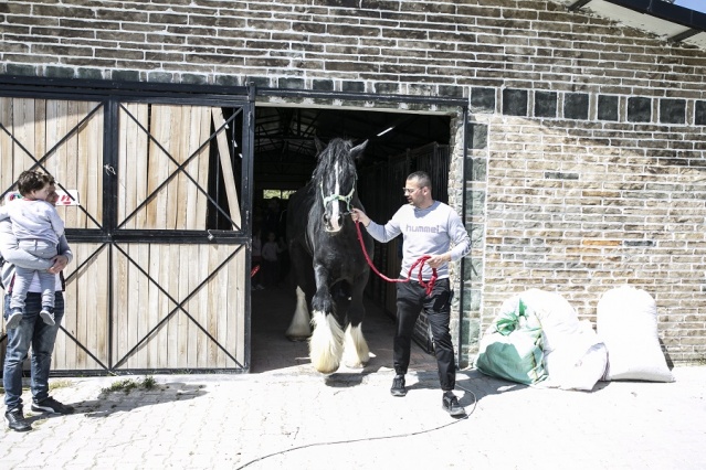 Atların Efendisi Thor