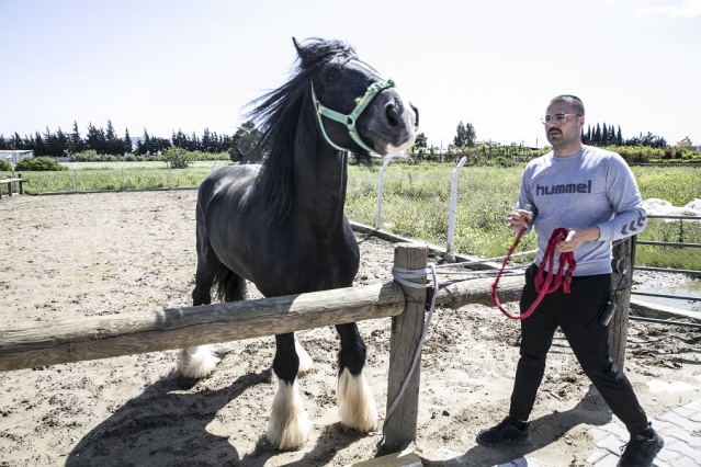 Atların Efendisi Thor