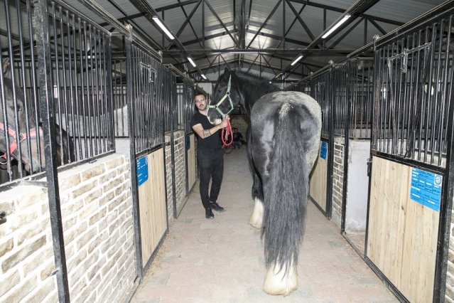 Atların Efendisi Thor