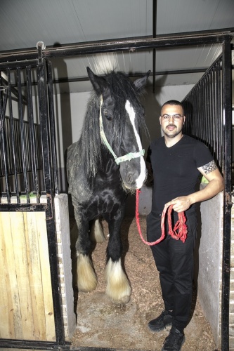 Atların Efendisi Thor