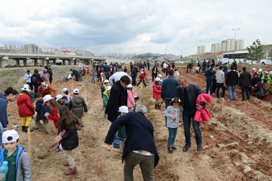 Orman Fakültesinden Hatıra Ormanı