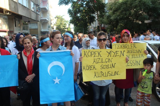 Ülkücülerin Protesto Yürüyüşü
