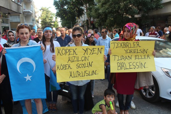 Ülkücülerin Protesto Yürüyüşü