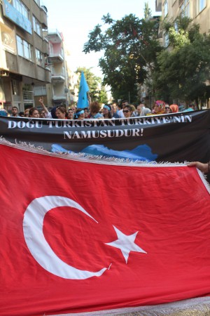 Ülkücülerin Protesto Yürüyüşü