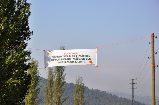 Pankart Astılar Biz Farklıyız Dediler!
