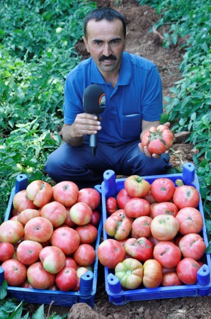 Pankart Astılar Biz Farklıyız Dediler!