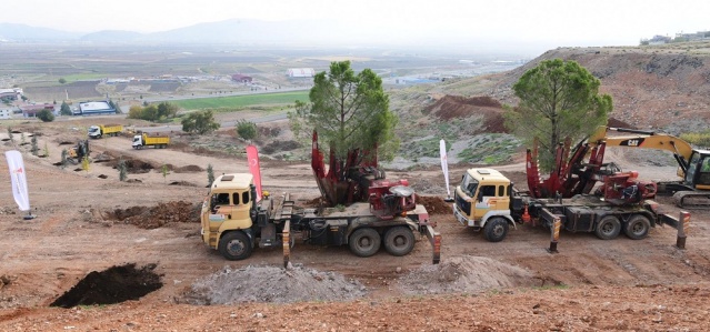 Senem Ayşe Millet Bahçesi Ağaç Dikimi