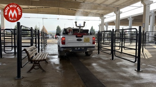 Canlı Hayvan Pazarı’nda Halk Sağlığı İçin Kapsamlı Çalışma