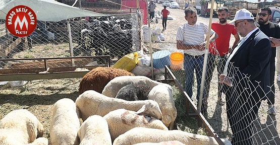 Dulkadiroğlu’nda Kurban Bayramı Hazırlıkları