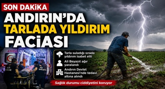 Tarlada Yıldırım İsabet Etti