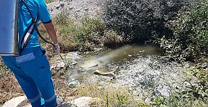 Kahramanmaraş İlaçlanıyor