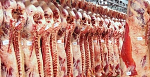 Karkas Dana Eti 24 Lira