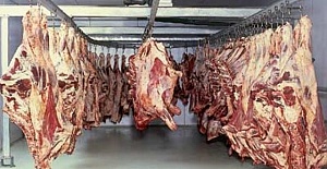 Karkas Dana Eti 25 Lira