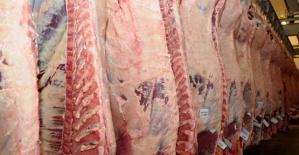 Kemikli Dana Eti 24 Liradan Satıldı