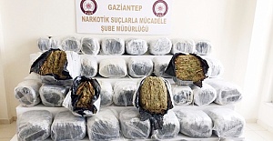 75 Kilogram Esrar Ele Geçirildi