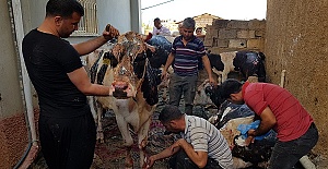 Ahırda Yangın Çıktı