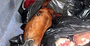 At Kesicilerine Hapis İstemi