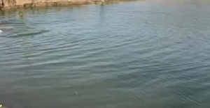Göle Giren Çocuk Boğuldu