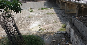 Kanala Düşen Yaşlı Yaralandı