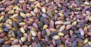 Kırmızı Fıstık 36 Lira