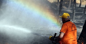 Mesire Alanında Yangın Çıktı