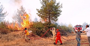 Ahır Yangını Ormana Sıçradı