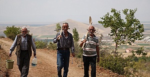 Yaban Hayvanlarına Yardım Ediyorlar