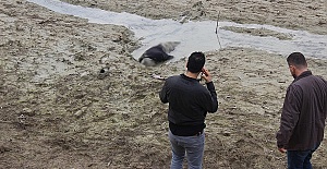 Su Çekildi Ceset Çıktı
