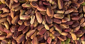 Kavrulmuş İç 96 Lira