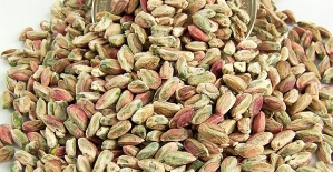 Antep Fıstığı İçi 135 Lira