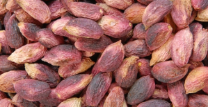 Kırmızı Fıstık 42 Lira