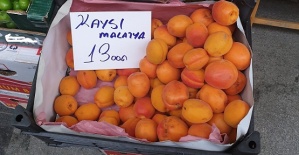 Satılanlar Malatya Kayısısı Değil