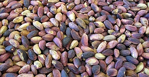 Kırmızı Antep Fıstığı 38 Lira