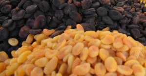 Kuru Kayısı 23,50 TL