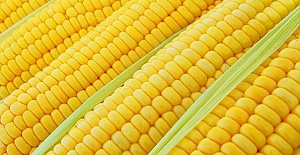 Mısır 1 Lira 67 Kuruş