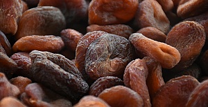 Organik Kuru Kayısı 29 Lira