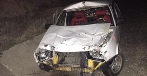 Otomobil Ata Çarptı 2 Yaralı