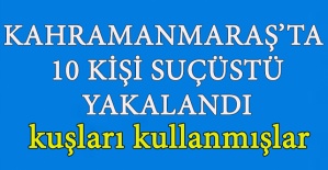 Kuşları Kullanmışlar