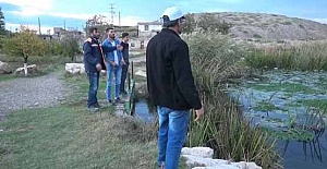 Nilüferler Tehdit Altında