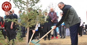 Yangından Etkilenen Alanlara Fidan Dikildi