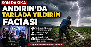 Tarlada Yıldırım İsabet Etti